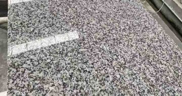 郑州 芙蓉白光面