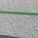 郑州芝麻白荔枝面质量
