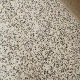 郑州 黄金麻中黄光面