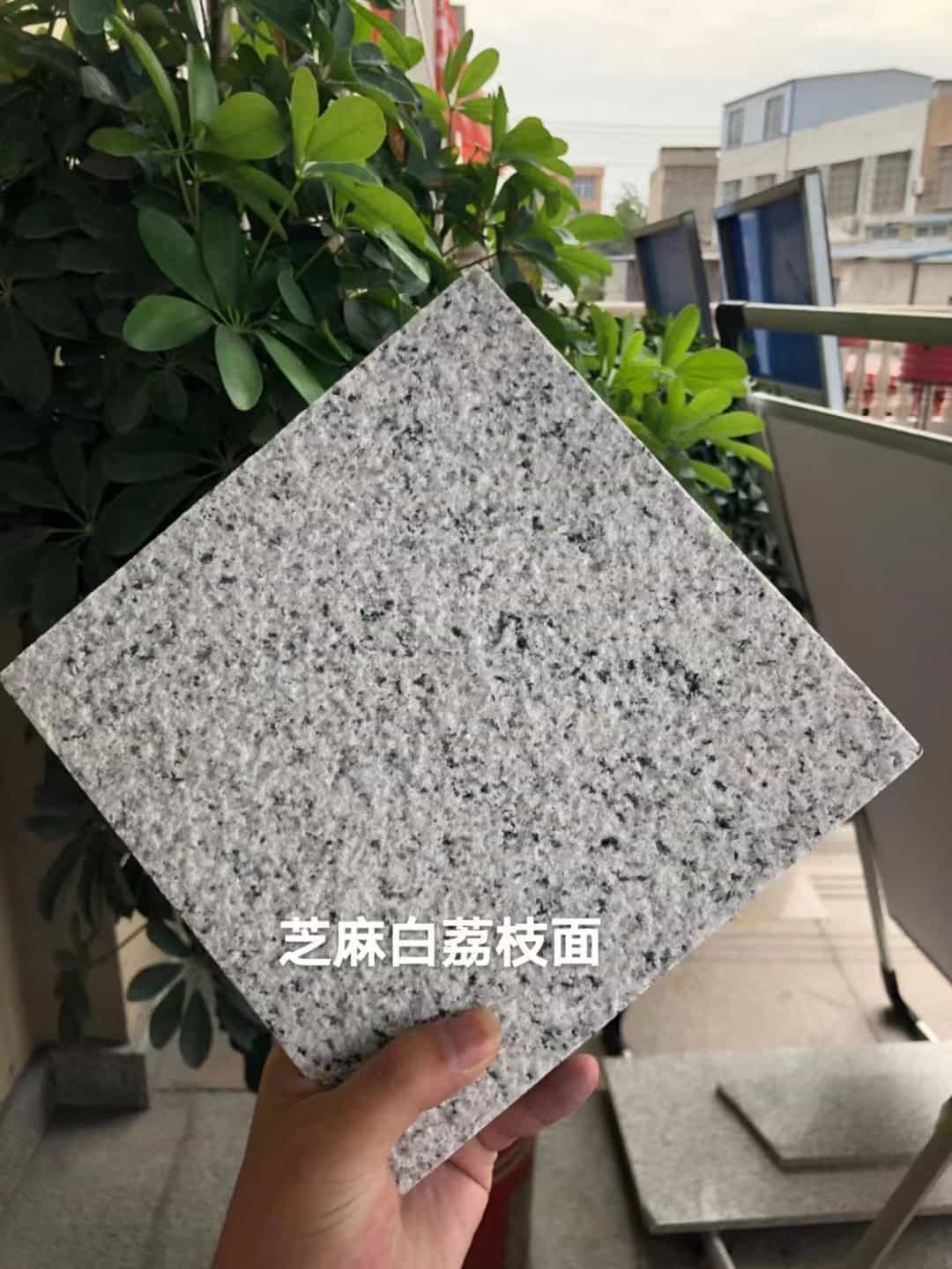 郑州 芝麻白荔枝面干挂