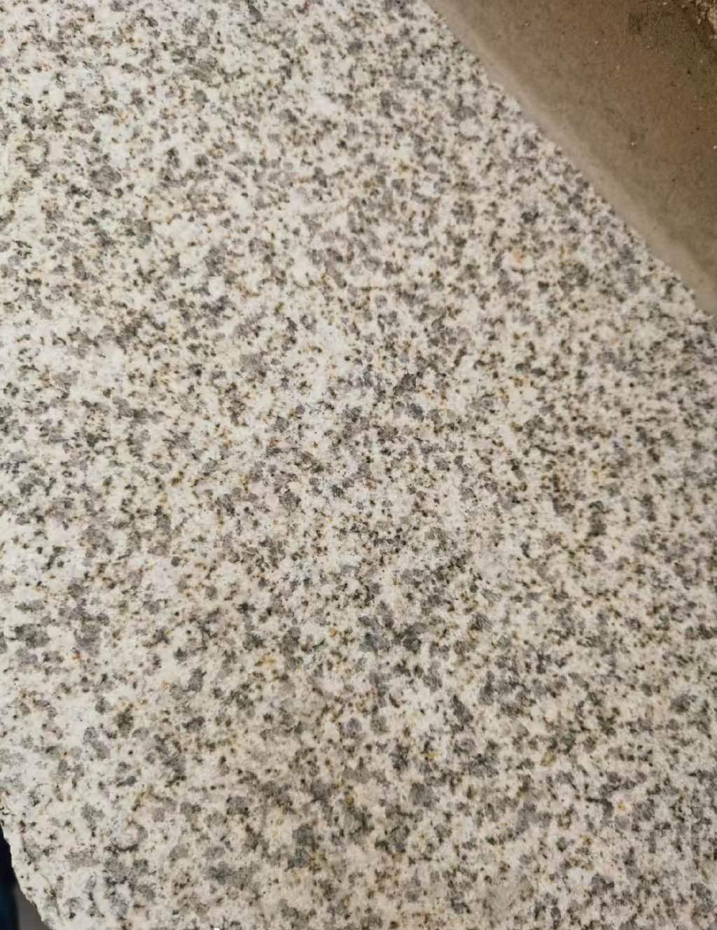 郑州 黄金麻中黄光面