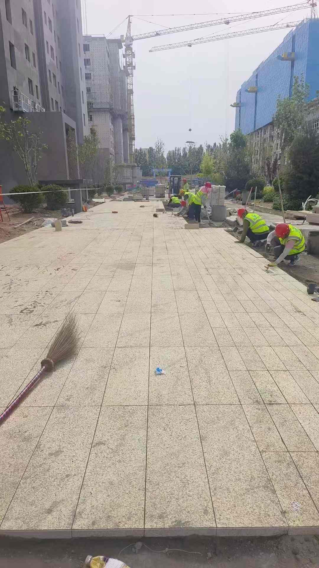 郑州黄金麻荔枝面地铺案例